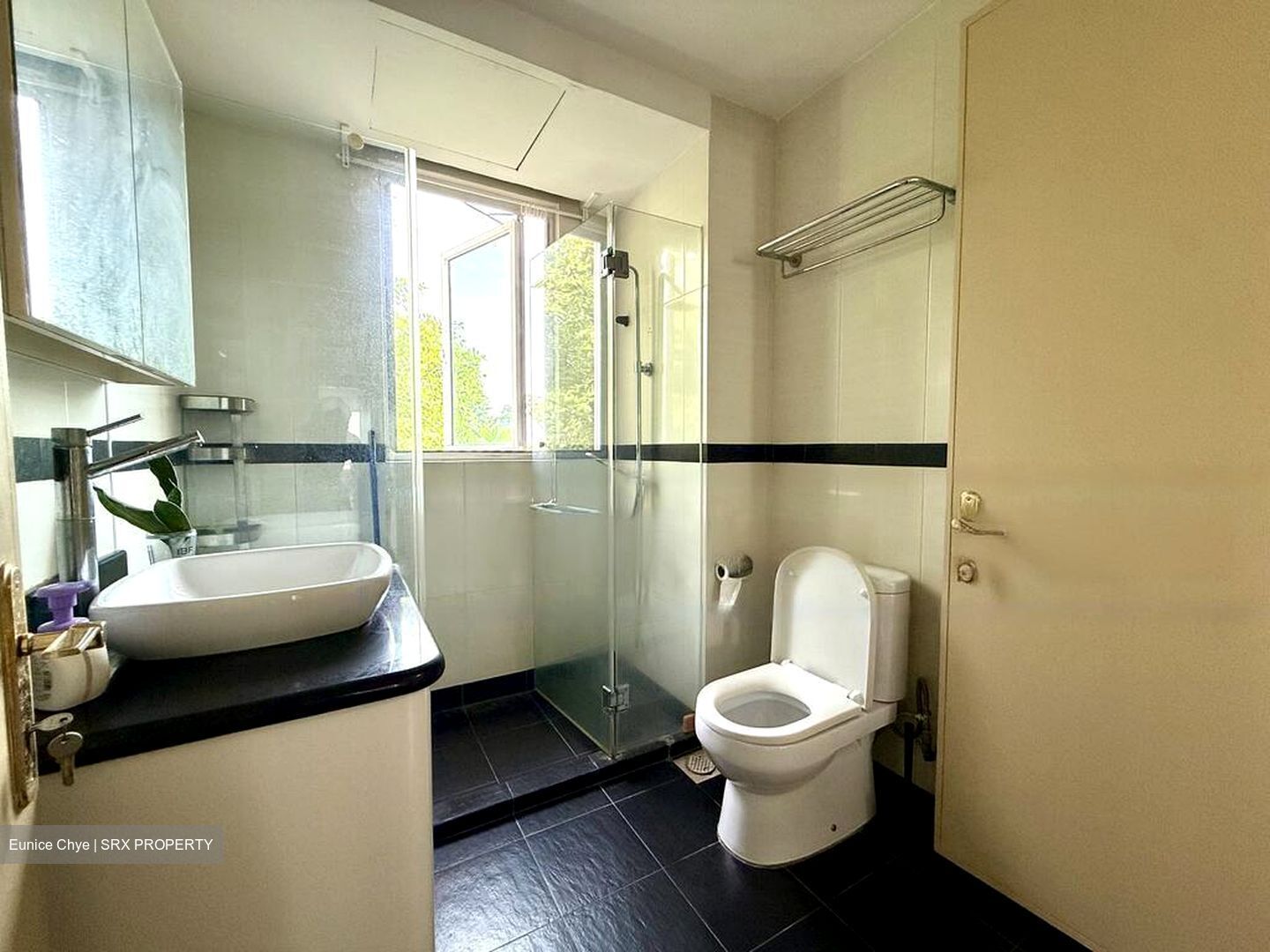 Chancery Park (D11), Condominium #492836111